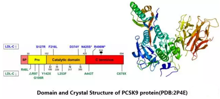 yy易游(中国)体育-米乐官方网站