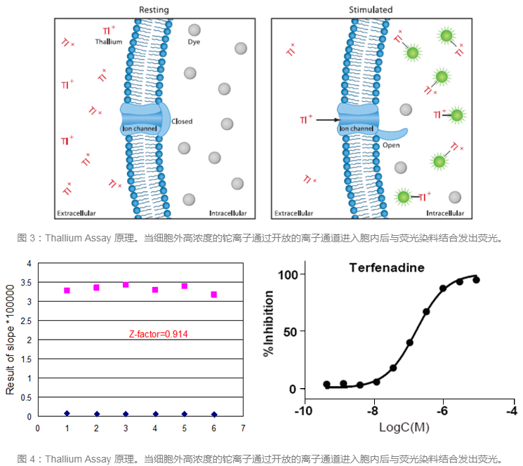 yy易游(中国)体育-米乐官方网站