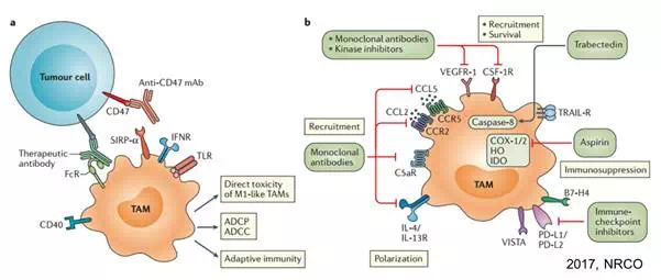 yy易游(中国)体育-米乐官方网站