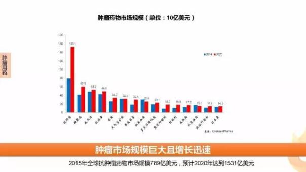 yy易游(中国)体育-米乐官方网站