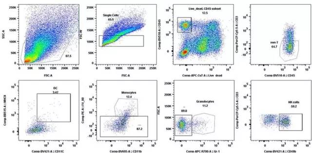 yy易游(中国)体育-米乐官方网站