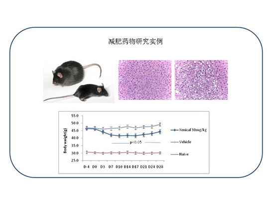 yy易游(中国)体育-米乐官方网站