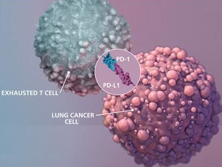 yy易游(中国)体育-米乐官方网站