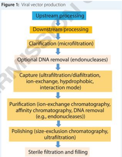 yy易游(中国)体育-米乐官方网站
