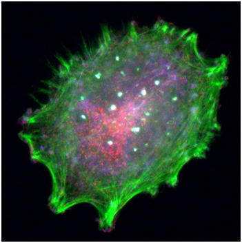 yy易游(中国)体育-米乐官方网站