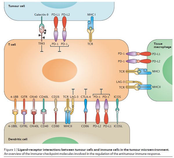 yy易游(中国)体育-米乐官方网站