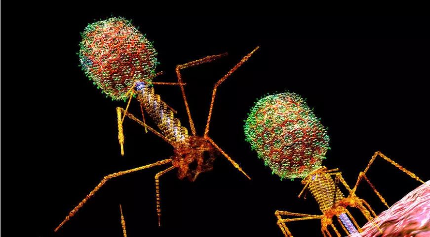 yy易游(中国)体育-米乐官方网站