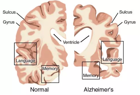 yy易游(中国)体育-米乐官方网站