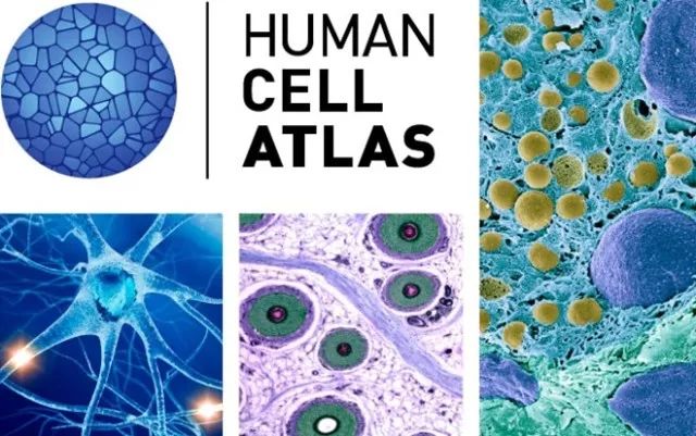 yy易游(中国)体育-米乐官方网站