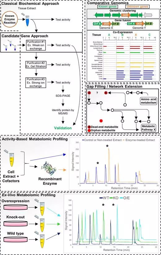 yy易游(中国)体育-米乐官方网站