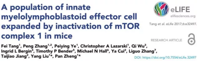 yy易游(中国)体育-米乐官方网站