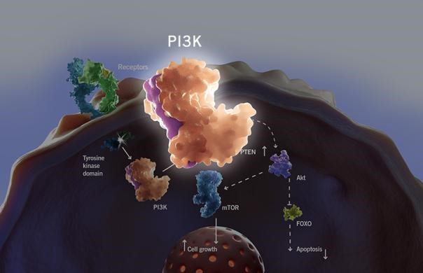 yy易游(中国)体育-米乐官方网站