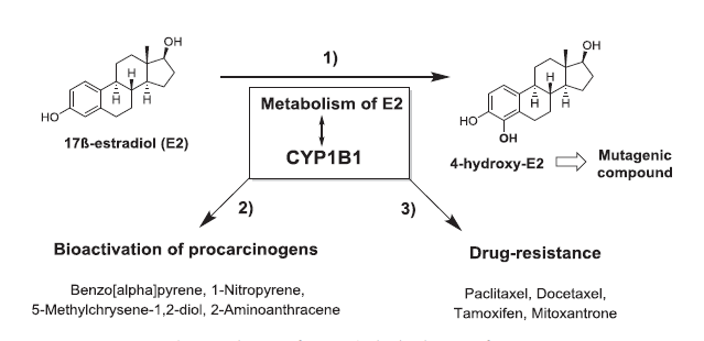 yy易游(中国)体育-米乐官方网站