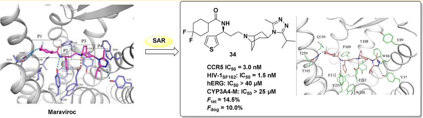 yy易游(中国)体育-米乐官方网站