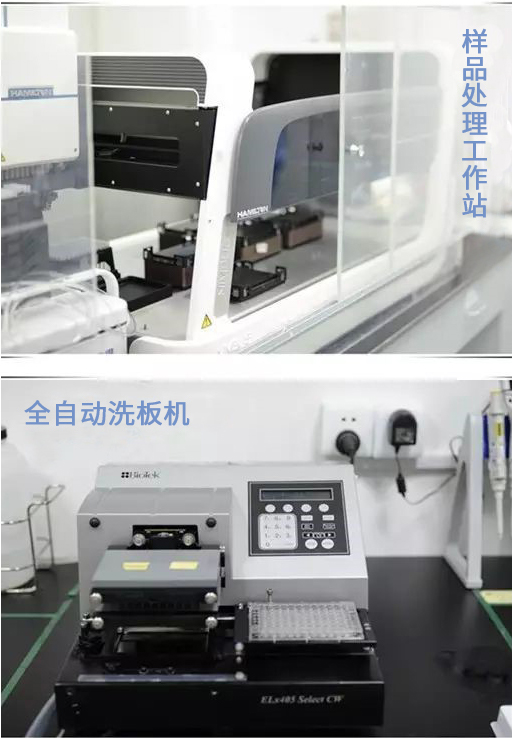 yy易游(中国)体育-米乐官方网站