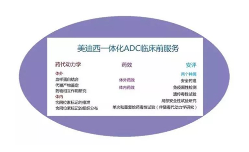米乐YY易游一体化ADC临床前服务