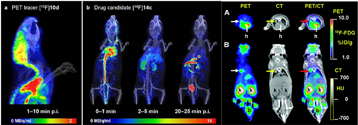 功效与结构团结