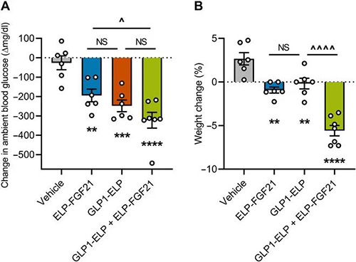 GLP-1和FGF21配合治疗增强了单药治疗的血糖降低和体重增添抑制作用 米乐YY易游