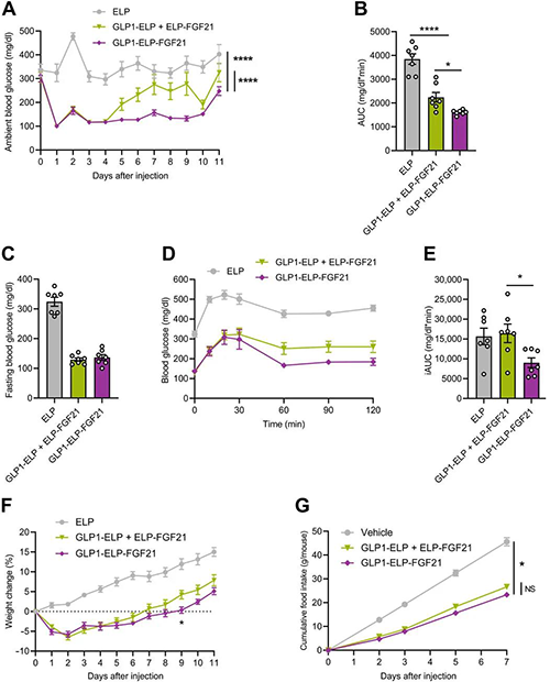 GLP1-ELP-FGF21双激动剂形式在治疗上优于GLP-1 / FGF21单激动剂混淆物 米乐YY易游
