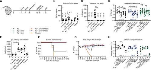 研究职员将部分选择性核因子κB（NF-kB）抑制剂与几种现在的佐剂团结使用