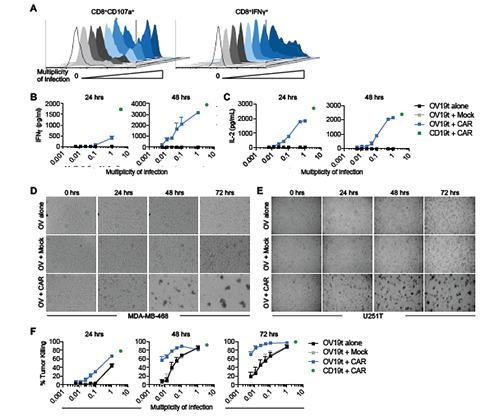 yy易游(中国)体育-米乐官方网站