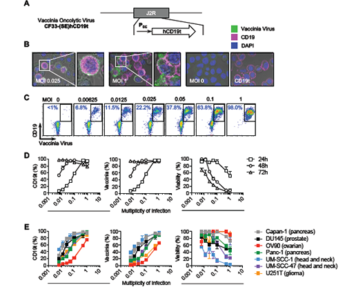 yy易游(中国)体育-米乐官方网站