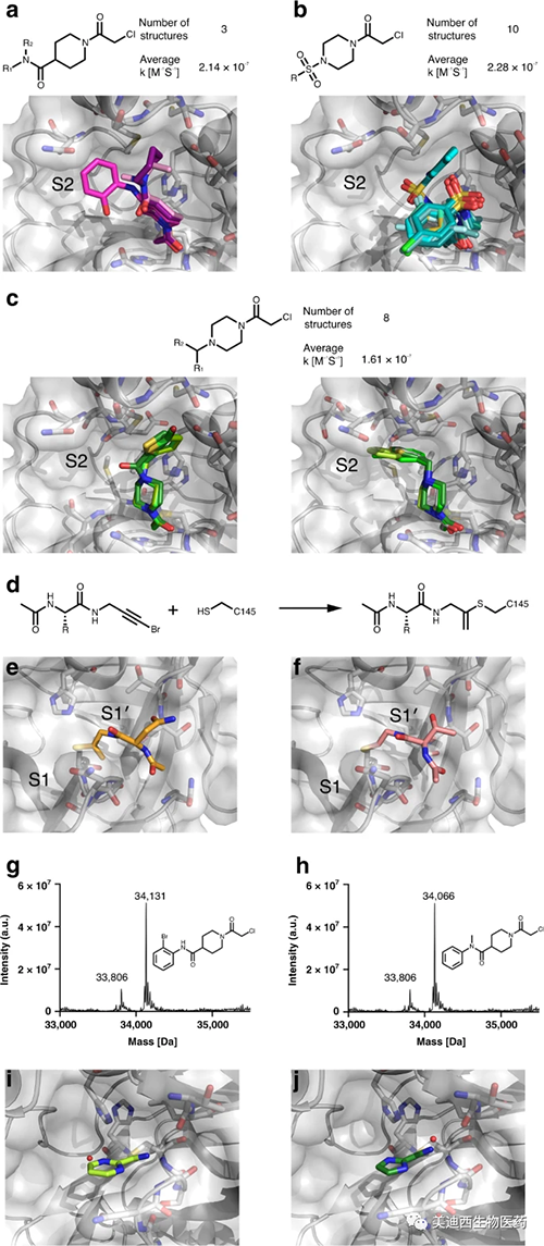共价片断锚定在Cys145处并取样正构M pro团结袋的差别区域