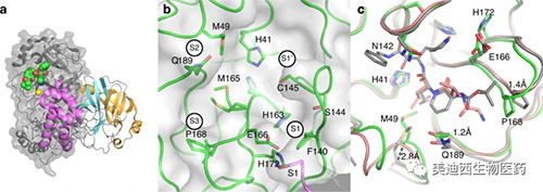 不含配体的M pro的晶体结构适合X射线片断筛选