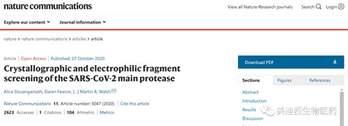 研究团队设计出与COVID-19对抗的刷新且功效更强的化合物