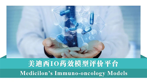 米乐YY易游IO药效模子评价平台