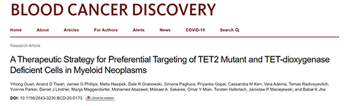研究者形貌了一种新型靶向抗癌药物，，，，，这种药物可能会有用地治疗某些常见的白血病。。。。。。。。