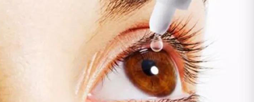 米乐YY易游毒理研究