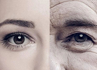 一种能够延伸寿命的降压药，，，，，，，，你听说过吗？？？？？？？