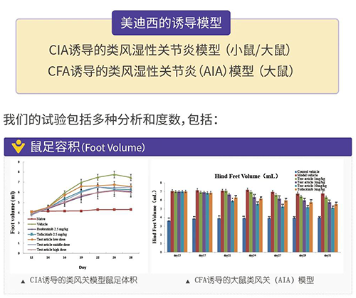 米乐YY易游诱导的类风湿性枢纽炎模子