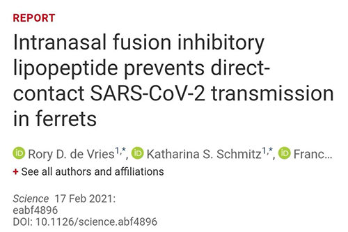 Science速递|鼻喷雾剂可阻止新冠肺炎撒播，，，，，，在雪貂实验中已初获效果