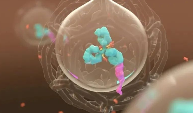 美研 | 米乐YY易游带您相识ADC玄妙之处