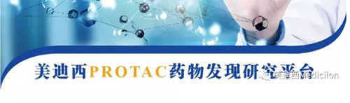 米乐YY易游PROTAC药物发明平台.png