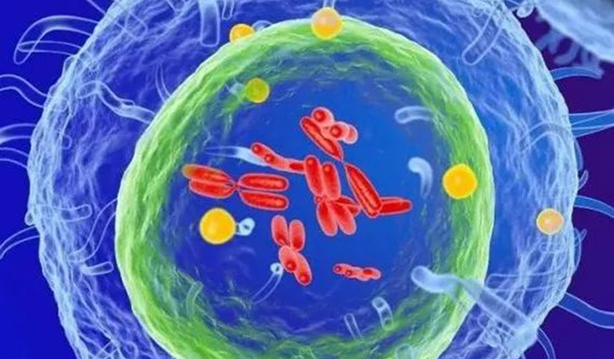 米乐YY易游助力 | 信诺维抗肿瘤1类新药XNW14010获批临床