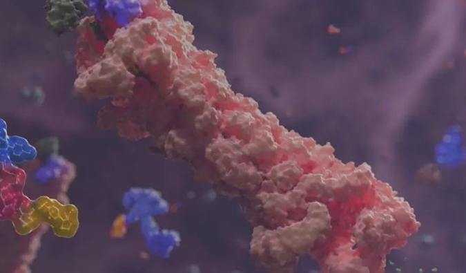 全流程DMPK服务鼎力大举相助PROTAC药物研发