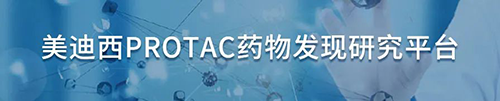 米乐YY易游PROTAC药物发明研究平台.png