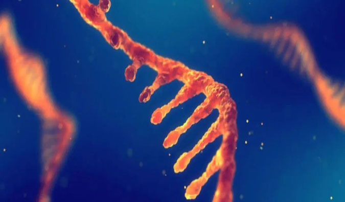 赋能核酸药物疗法，，，，，迎接新药研发第三次浪潮