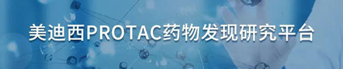 米乐YY易游protac药物发明研究平台.jpg