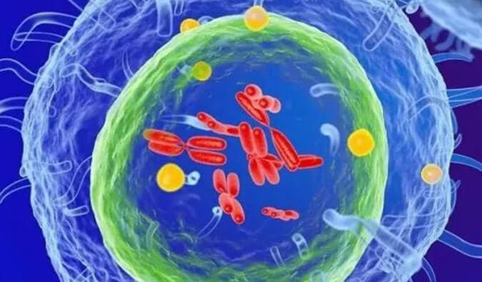 米乐YY易游助力 | 信诺维抗肿瘤1类新药XNW14010获批临床.jpg