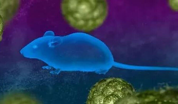 米乐YY易游药效服务赋能First-in-Class泛素化抑制剂研发