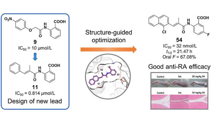 设计合成一系列DHODH抑制剂作为潜在的类风湿性枢纽炎治疗药物，，，，，，，本研究中PK实验通过米乐YY易游举行