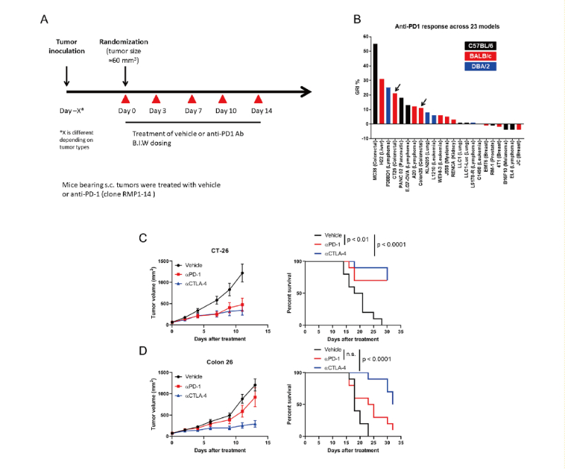 免疫检查点阻断疗法改变了癌症治疗的范式，，，，，，，，此研究中通过米乐YY易游在23 个同源肿瘤模子中举行了抗PD-1抗体的体内研究