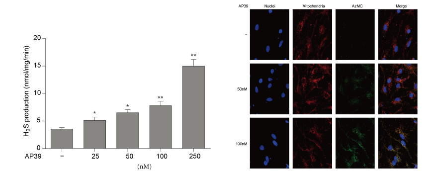 AP39是一种新合成的线粒体靶向的H2S供体，，，，，，，，本研究中AP39通过米乐YY易游设计和合成