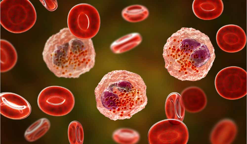 米乐YY易游助力 | 全球首创！宇耀生物STAT3双磷酸化抑制剂YY201获批临床.jpg