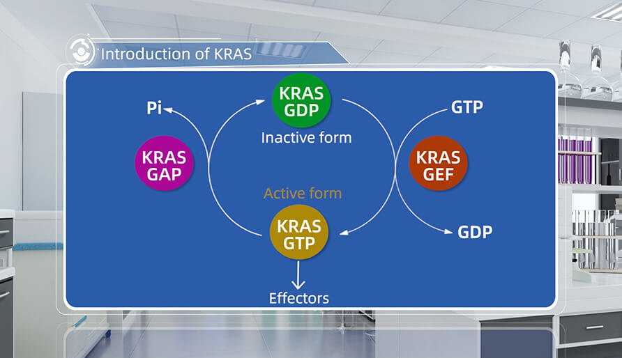 什么是KRAS？？？？？？？？