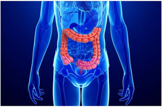 米乐YY易游一站式助力 | 宝太生物首其中美双报立异药获批